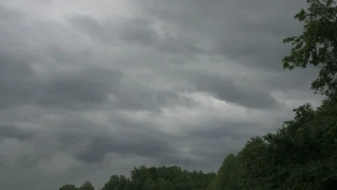 Dark storm clouds rise above green forest 動画素材 169259703