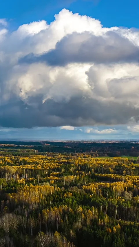 Dark Storm Clouds Rolling Above Forest Landscape Timelapse Stock Footage 335354580
