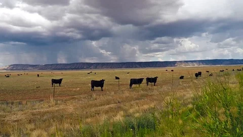 Dark storm clouds thunder across the plains of Arizona Stock-Footage 128912539