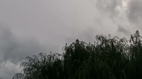 Dark storm clouds timelapse Stock Footage 41263356