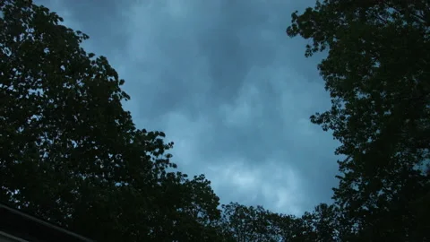 Dark Storm Clouds with Wind Buffeting Trees Stock Footage 195330340