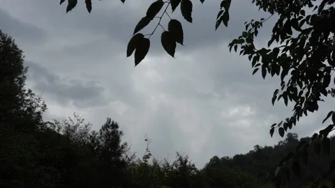 Dark Stormy Clouds Slow Moves over the Green Forest Video stock 236610051