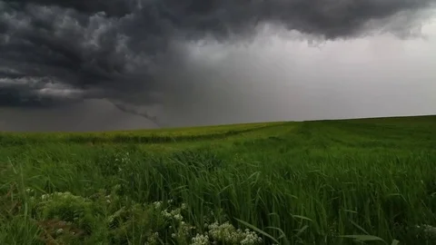 Dark stormy clouds in a summer day Stock Footage 77061375