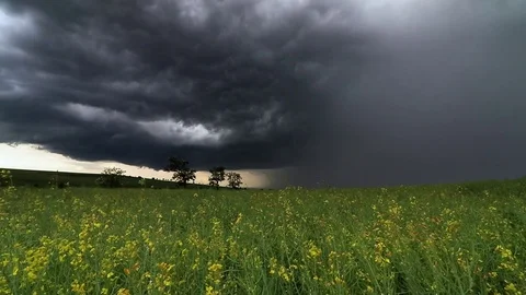 Dark stormy clouds in a summer day Stock Footage 77061389