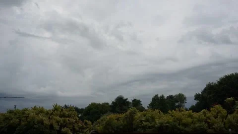 Dark stormy rain clouds timelapse with trees and plants on the foreground Stock Footage 313793518