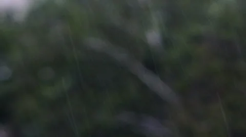 Dark Stormy Rain Stock Footage 51349459