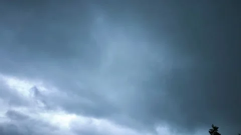 Dark stormy sky with heavy rain and grey clouds, pine tree silhouette 動画素材 339366556