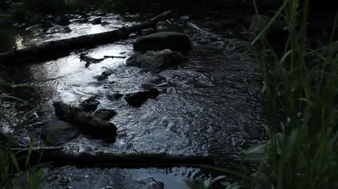 Dark Stream Stock Footage 1918022