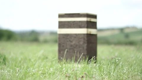 Dark Striped Box Standing Alone in Green Meadow, Rolling Hills, Low Angle Vídeo Stock 341296102