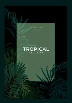 Dark summer tropical background with exotic palm leaves. Vector floral template. 库存插图