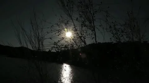 Dark sun Video stock 12129263