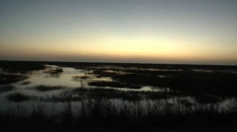 Dark Sun Sets over Marsh, the Everglades Florida Video 스톡 동영상 12761511