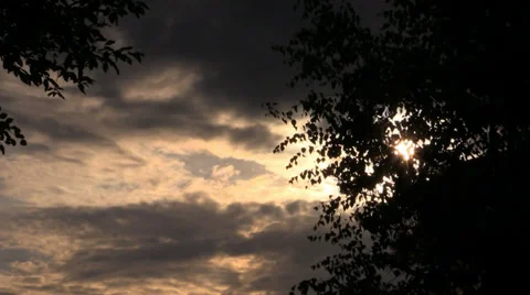 Dark sun shines through the clouds on a background of tree Stock Footage 39533083