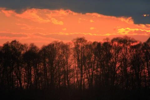 Dark sunset with crimson clouds Stock Photos