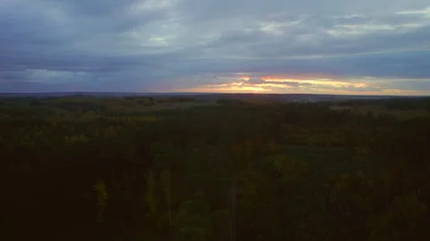 Dark sunset over forest. aerial video Stockbeeldmateriaal 348449448