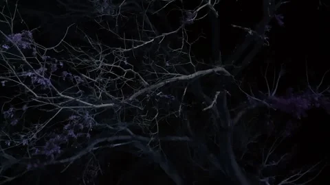 Dark Suspense Scene – Mysterious and Eerie Cinematic Atmosphere Stock Footage 342150108