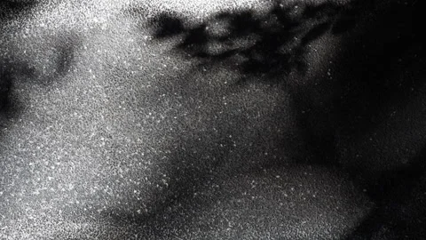Dark terrazzo stone floor texture with sunlight and tree shadows across surface. Stock Footage 330149881