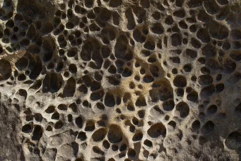 Dark texture, background, pattern. A rock with round holes. Stock Photos