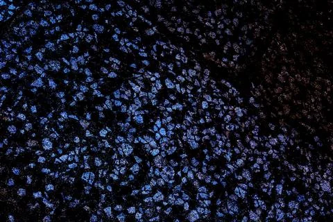 Dark textured surface filled with tiny clustered blue crystals or speckles Stock Photos