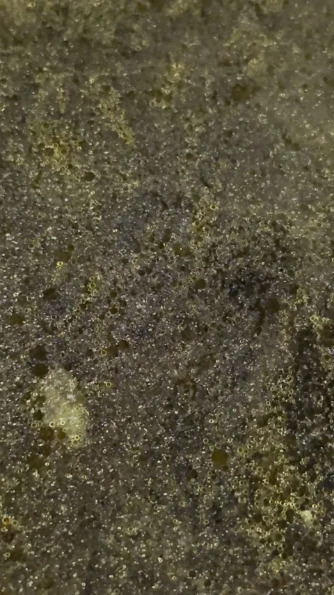 Dark Textured Surface Macro Detail Stock Footage 346971666