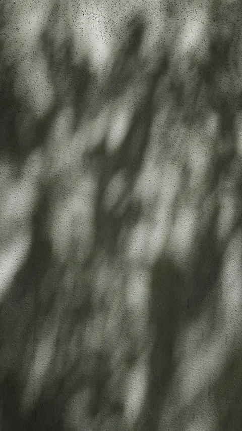 Dark textured wall with moving tree shadows Stock Footage 344805007
