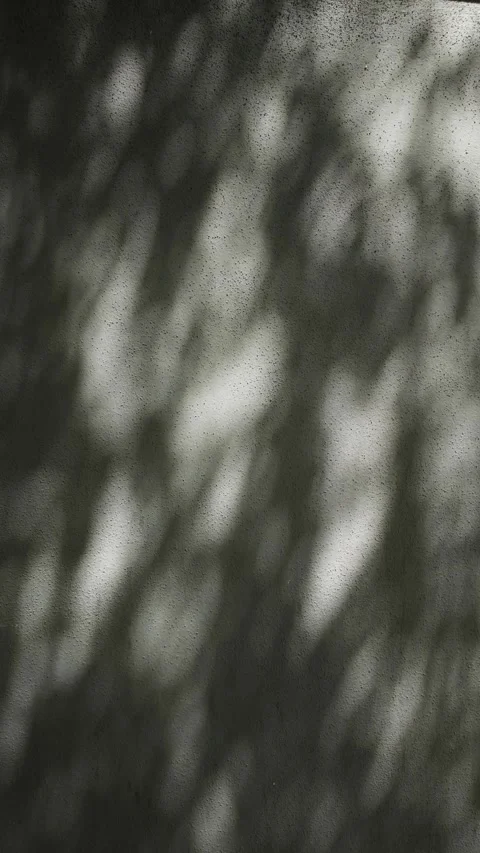 Dark textured wall with moving tree shadows Stock Footage 344805022