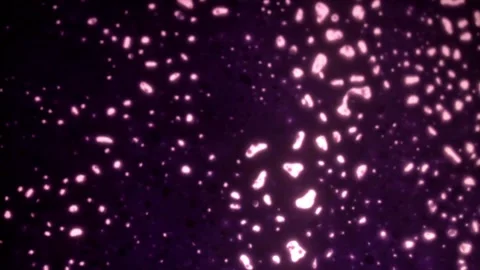 Dark Thirty 库存影片 139359380