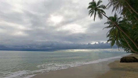 Dark thunder rain storm cloud at tropical beach with palm tree Stock Footage 166356869