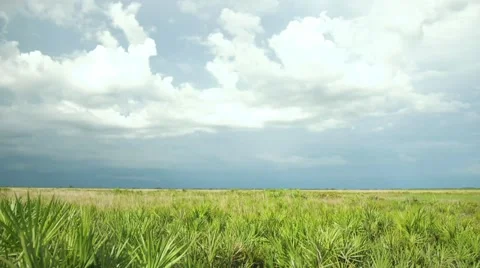 Dark Thunderstorm Rolls in Over Florida Prairie, 4K Stock Footage 65447550
