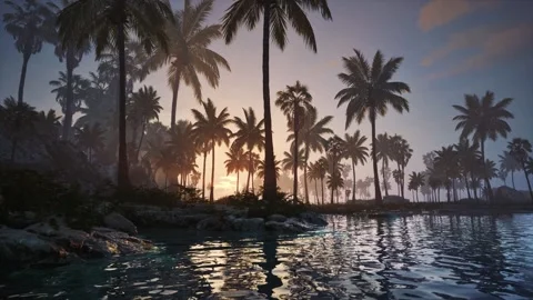 Dark Tide Afterglow Stock Footage 321465606