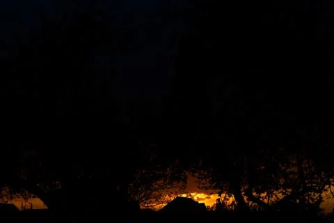 Dark time. Sunset in the background of trees. Black photography Stock Photos