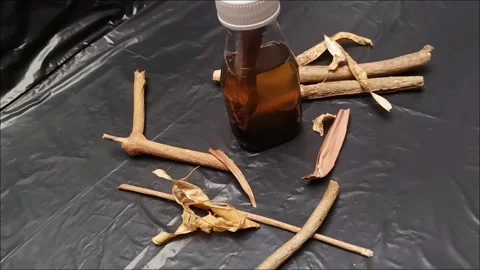 Dark Toxic Potion Bottle with Tree Stem Side View Cinematic Shot Stock Footage 344924272