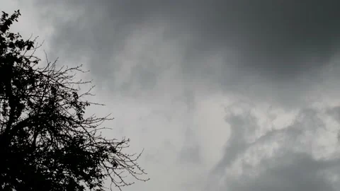 Dark tree on the background of a large thundercloud and flashes of lightning Stock Footage 132259662