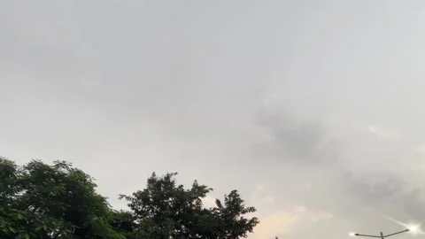 Dark Tree Line and Moody Overcast Sky Landscape Background Stock-Footage 345527606