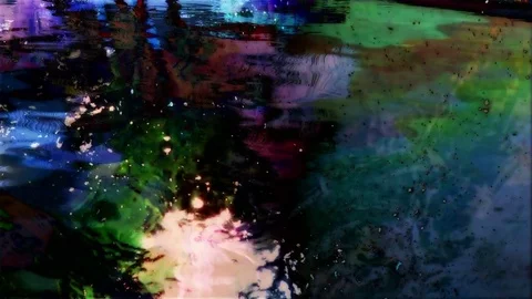 Dark tree reflection Stock Footage 82250716