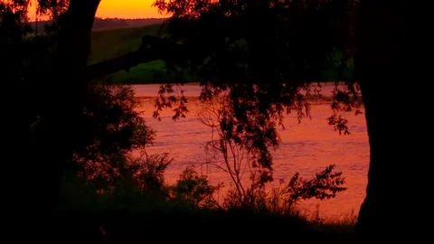 A dark tree on the river bank. Bright sunset. Stock Footage 79981023