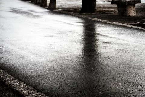 Dark tree shadows on the wet gray asphalt during the rain Stock Photos