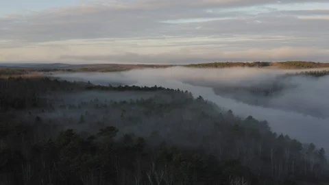 Dark trees sticking up through a blanket of fog at sunrise AERIAL 스톡 동영상 119548716