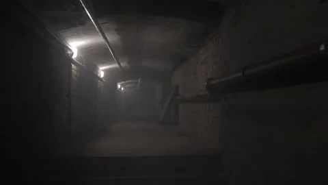 Dark tunnel slow walking, low light Stock Footage 221471881