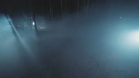 In dark two detectives young men in woods at night with flashlight. Forest 動画素材 175403598