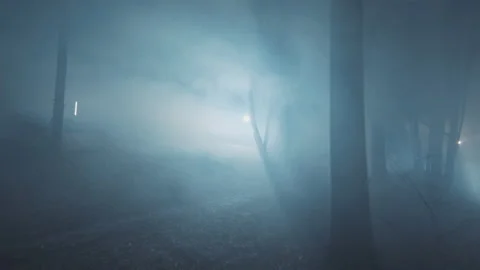 In dark two detectives young men in woods at night with flashlight. Forest 動画素材 175410966