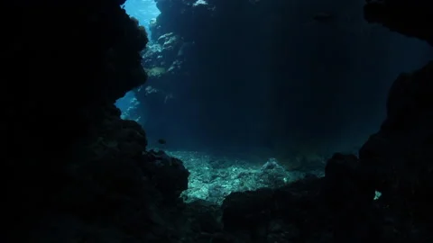 Dark Underwater Cavern in the South Pacific Stock Footage 229640489