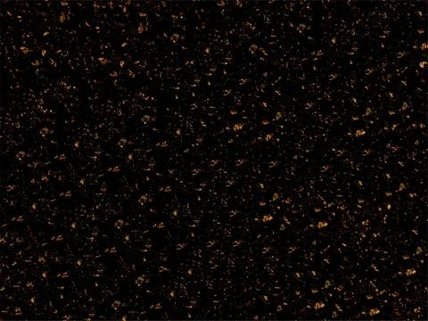 Dark vector natural grunge background with concrete wall texture Illustrazione stock