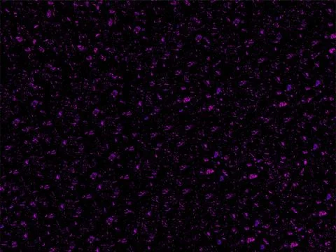 Dark vector natural grunge background with concrete wall 스톡 일러스트