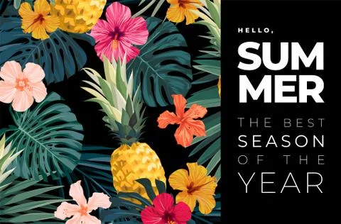 Dark vector summer design with exotic palm leaves, hibiscus flowers, pineapples 库存插图