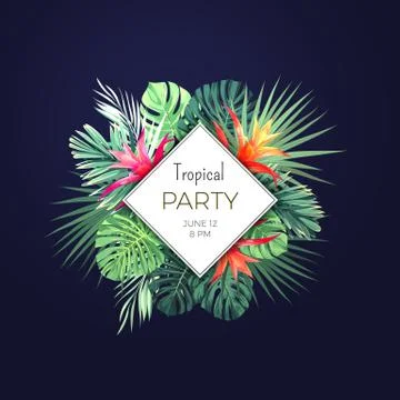 Dark vector tropical background with green palm leaves and guzmania flowers Illustration