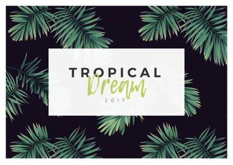 Dark vector tropical typography design with green jungle palm leaves. 库存插图