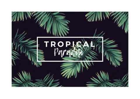Dark vector tropical typography design with green jungle palm leaves. Stock Illustration