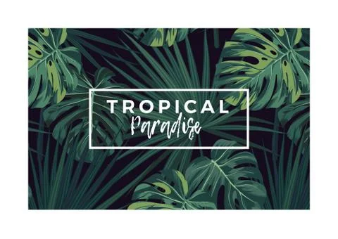 Dark vector tropical typography design with green jungle palm leaves. 库存插图