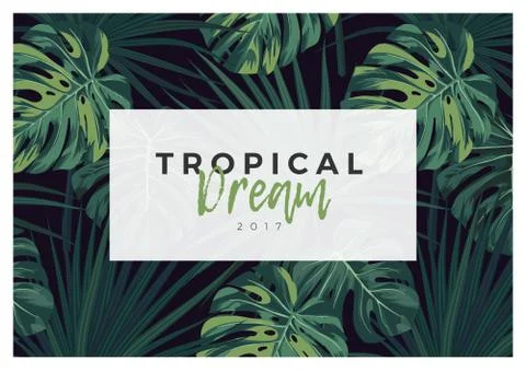 Dark vector tropical typography design with green jungle palm leaves. Stock Illustration
